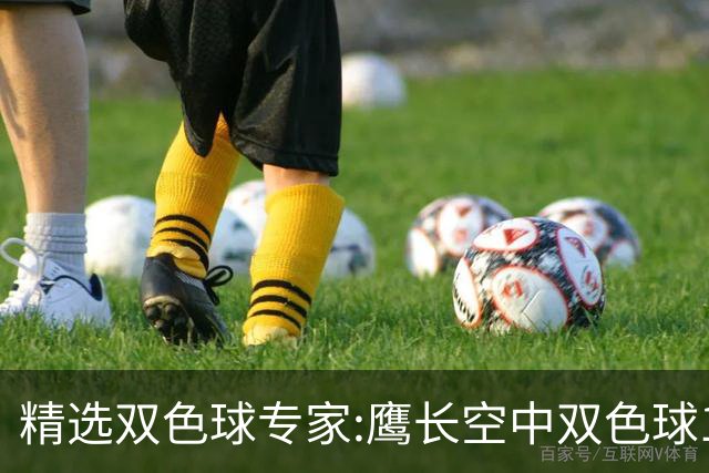 精选双色球专家:鹰长空中双色球146万累擒1788万!